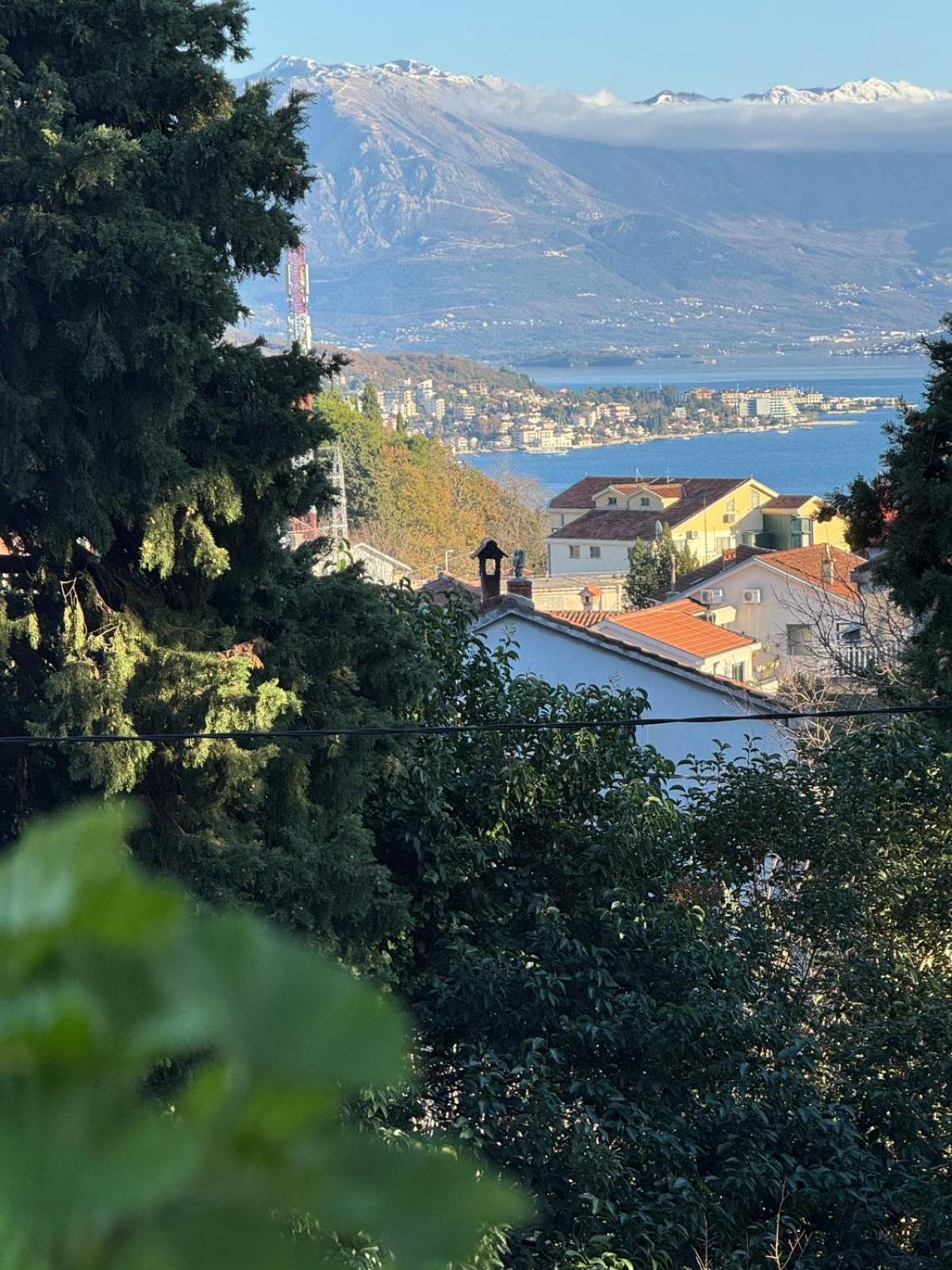 Studio Apartment Palma Herceg Novi Kültér fotó